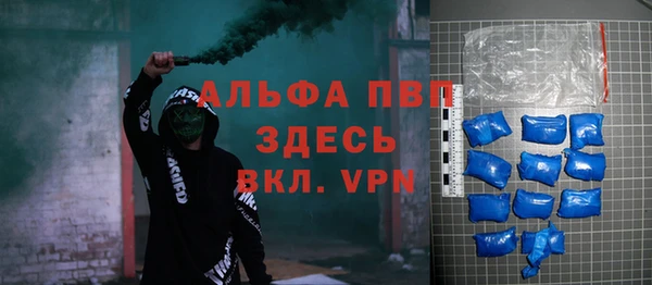 стафф Инта