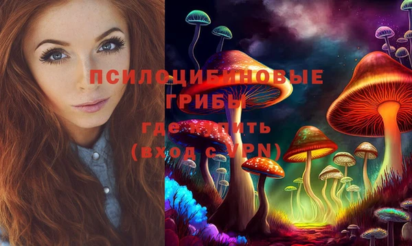 стафф Инта