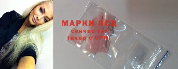 стафф Инта