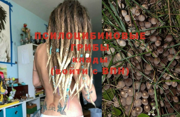 стафф Инсар