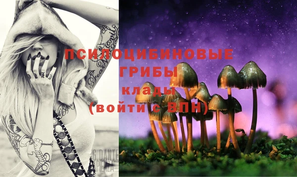 кокаин колумбия Иннополис