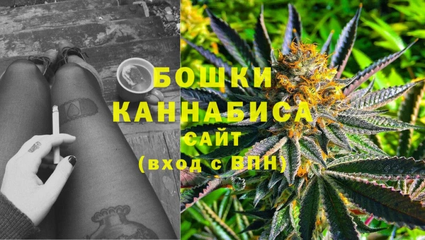 стафф Инсар