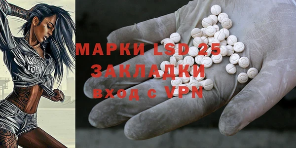стафф Инта