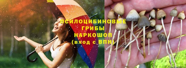 стафф Инсар
