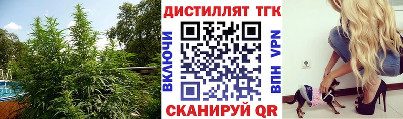 Дистиллят ТГК жижа  Купить закладки  Гремячинск 